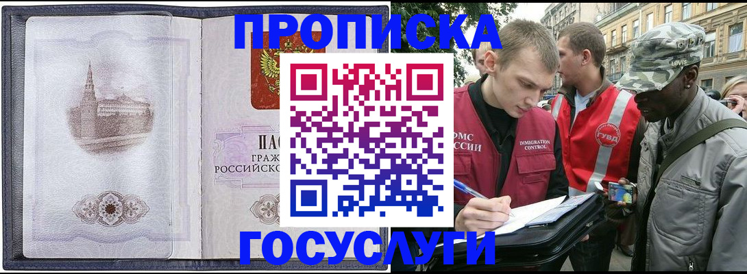 прописка 2025 в Елизово